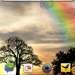 Андроид Sun Rise Live Wallpaper 
